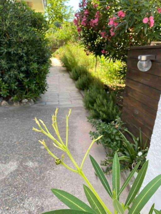 Une Pause Au Paradis Sorgues Kültér fotó