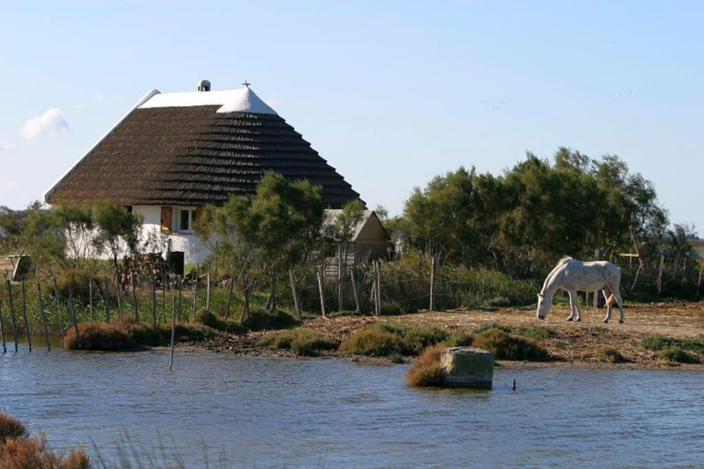 Une Pause Au Paradis Sorgues Kültér fotó