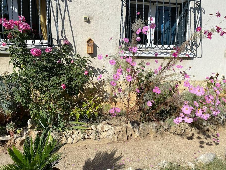 Une Pause Au Paradis Sorgues Kültér fotó